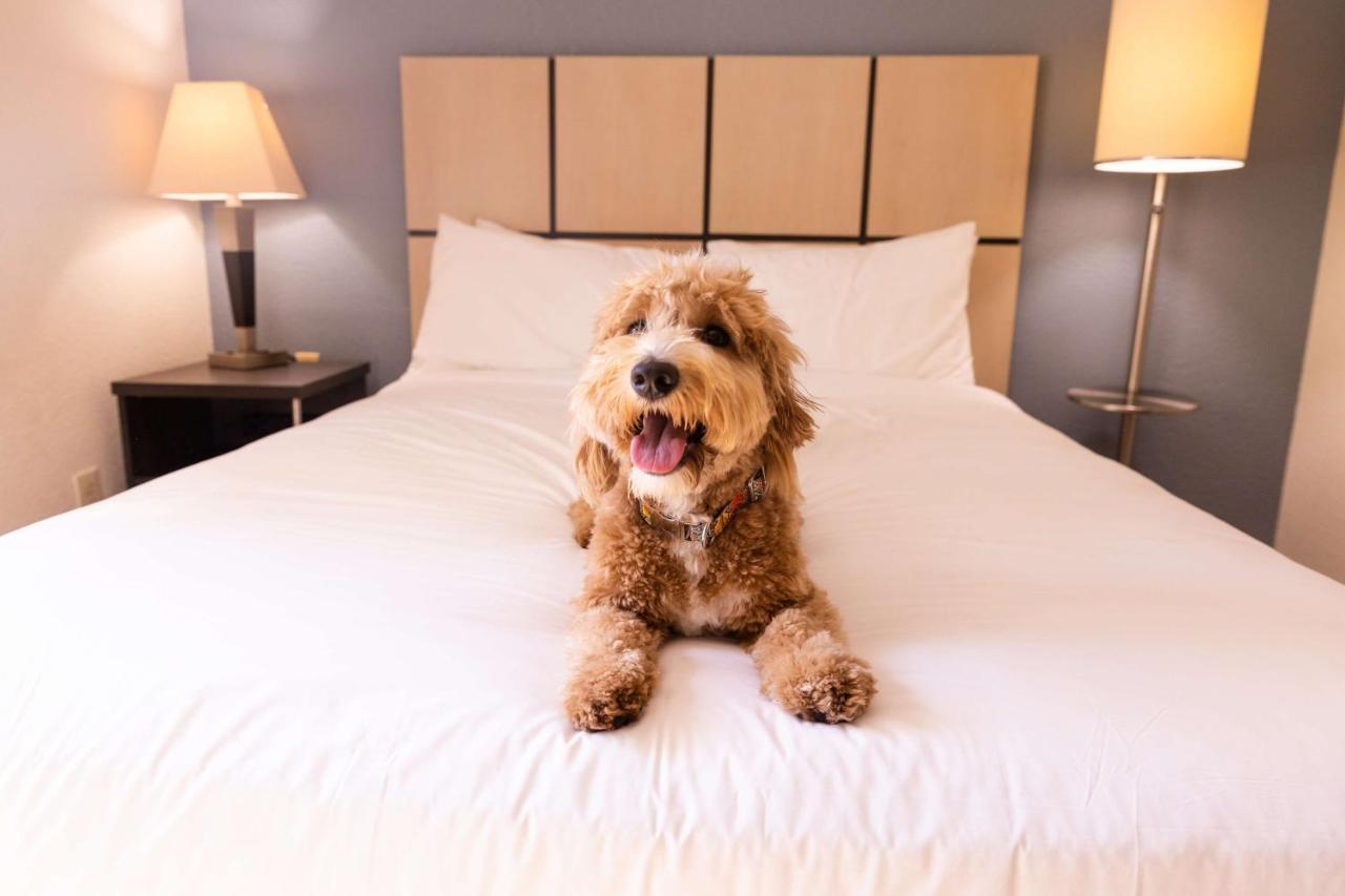 Sonesta Simply Suites Chicago ليبرتفيل المظهر الخارجي الصورة